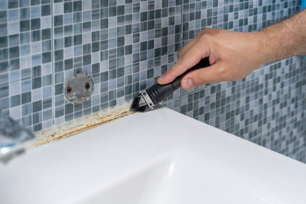 Best Mold Remediation  in Langhorne, PA