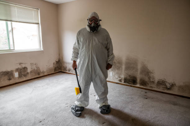 Best Black Mold Removal  in Langhorne, PA